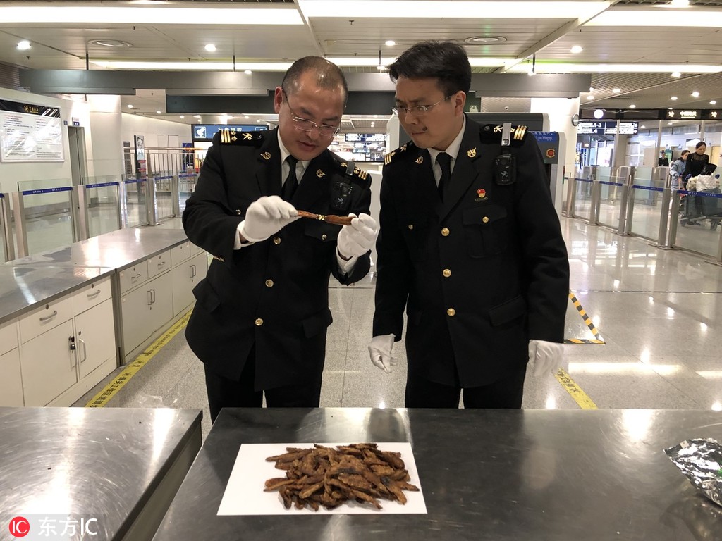 【51cg吃瓜網官網】手動剃須刀是飛機不可以
