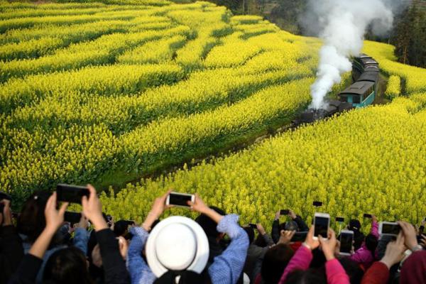 【每日黑料】氧奶40vol 把40加10就等于50