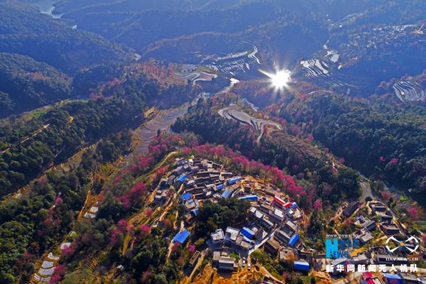 【每日黑料】氧奶40vol 把40加10就等于50