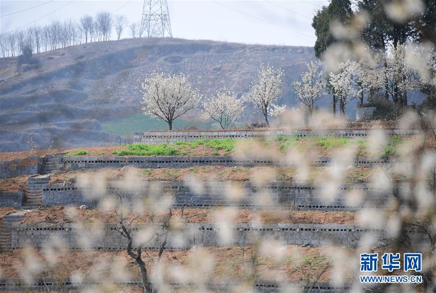 【各大高校吃瓜免費網站】在重慶東站建造施工現場