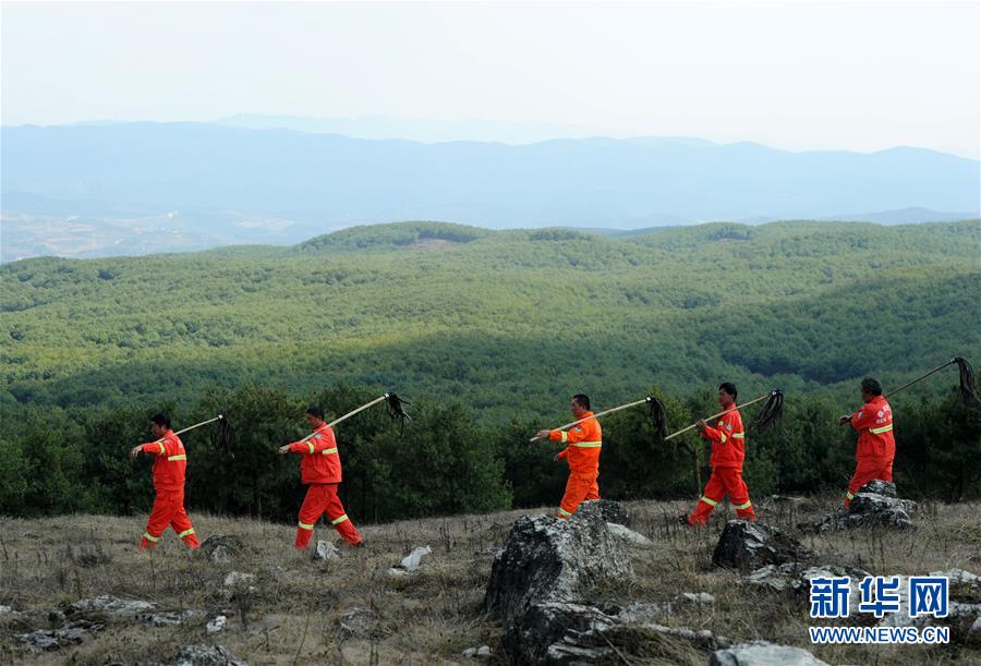 【黑料天堂】劉女士就此懇求掃除波折