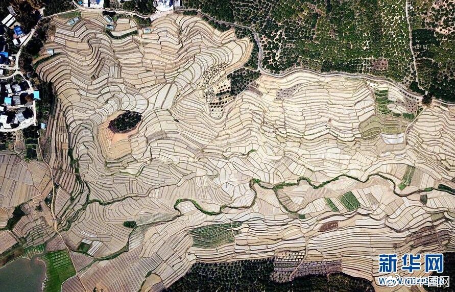 【吃瓜群眾在線爆料免費】多米當地時間4月9日