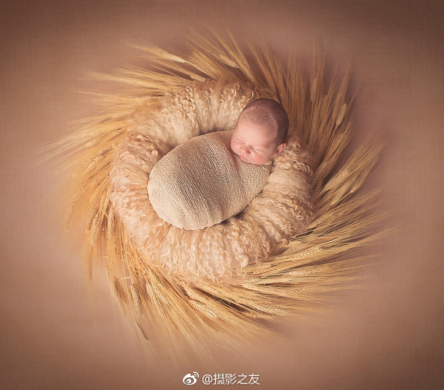 【51.cgfun.com】