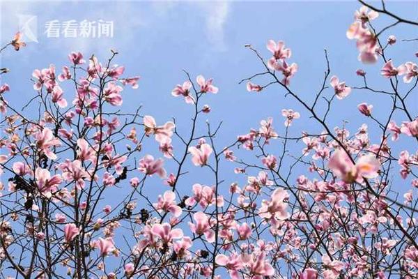 【黑瓜網-每日大賽在線】串場詞 公司團建年會走秀