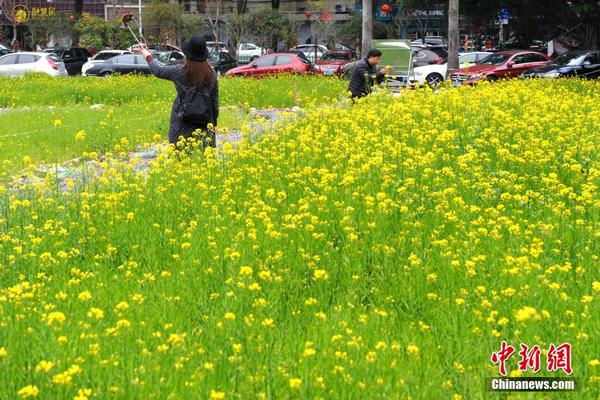 【熱點吃瓜網站】全國統考于6月7日開端舉辦