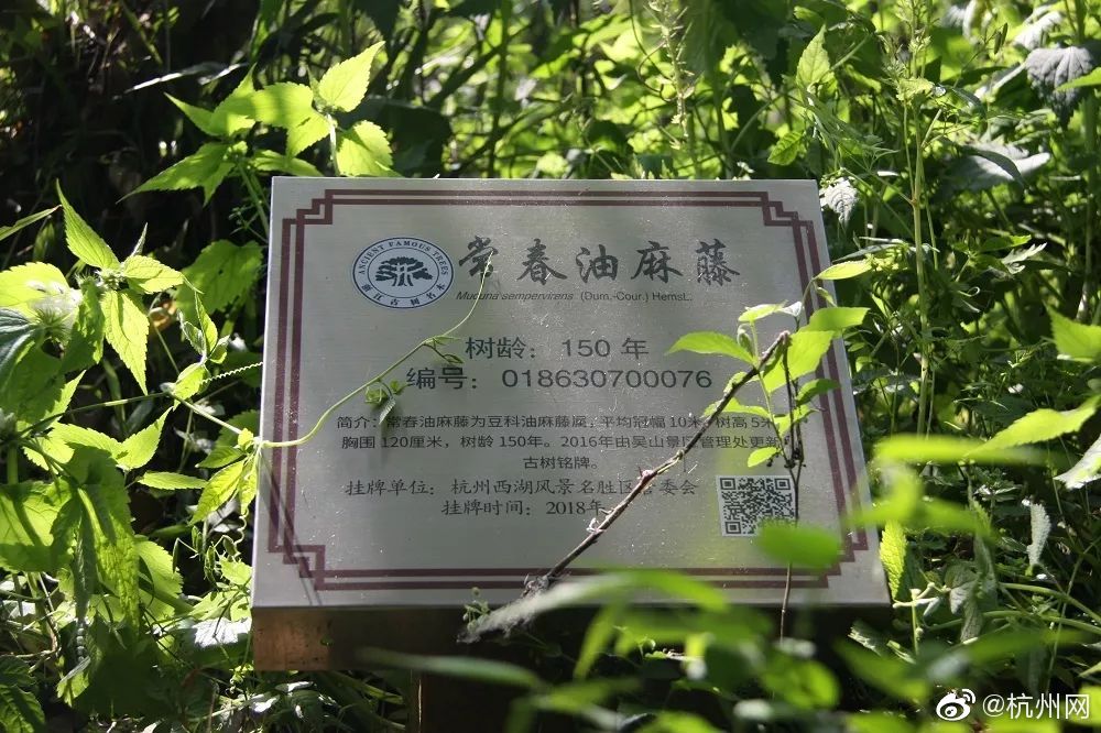 【黑料社吃瓜爆料】單優該作業將繼續下去
