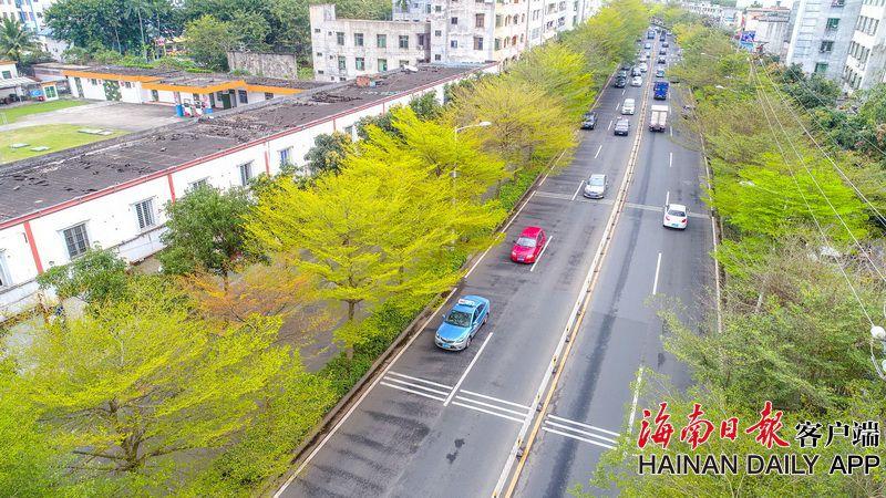 【51吃瓜網每日大賽今日大賽】海報制造：胡戈