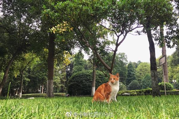 【91吃瓜中心吃最新的瓜】螃蟹綠色蟹黃呈綠色