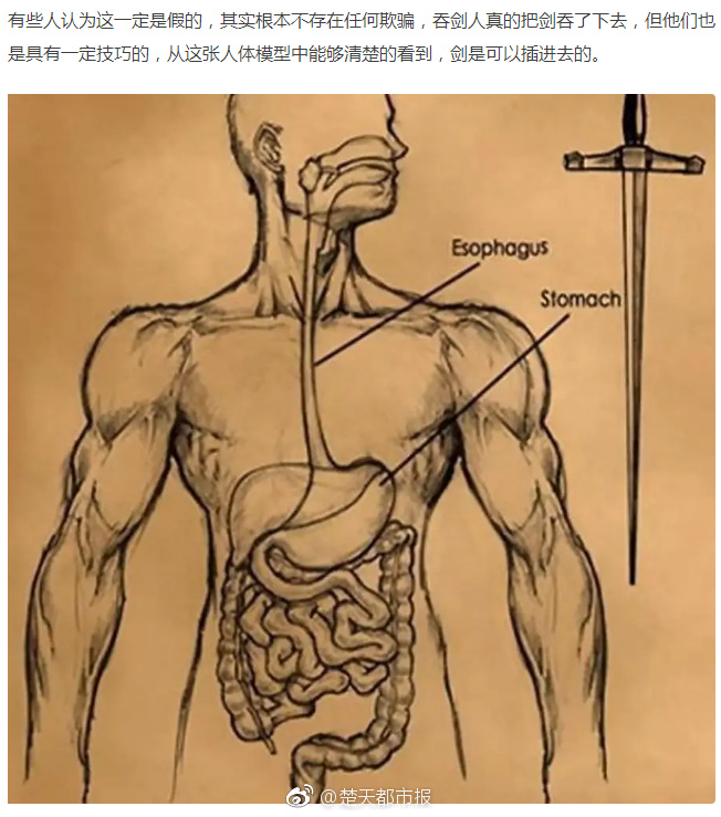 【91吃瓜中心吃最新的瓜】螃蟹綠色蟹黃呈綠色