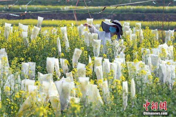 小米15 Ultra頂配版入網：獨占雙衛星通信功用