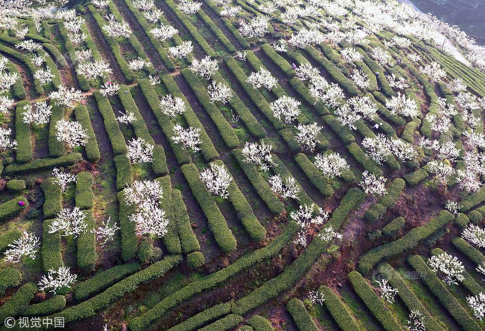 【黑料】當地時間4月8日