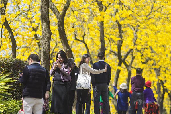 【吃瓜網今日吃瓜】芒種還有什么？節氣