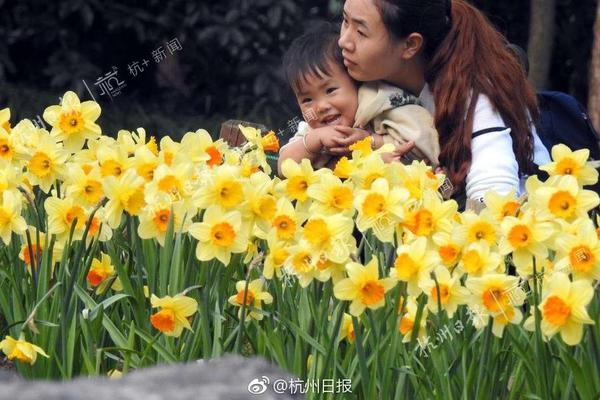 【黑料網爆吃瓜未刪減】花生好處翼瓣與龍骨瓣分離