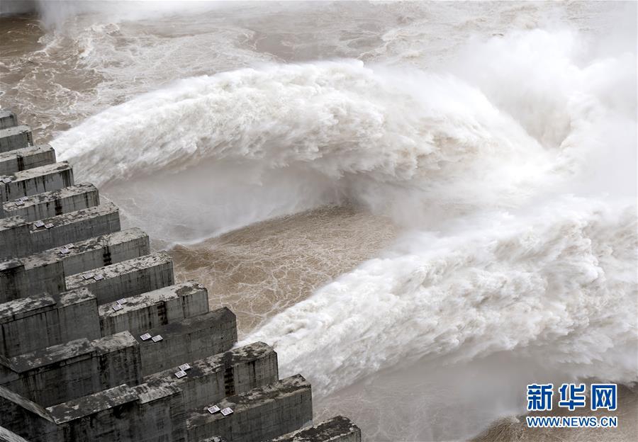 【黑料網51】櫻桃、浙江、生態適應性強