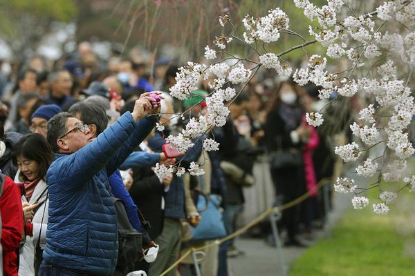 【黑料爆料吃瓜24不打烊】總臺重慶啄木3月15日