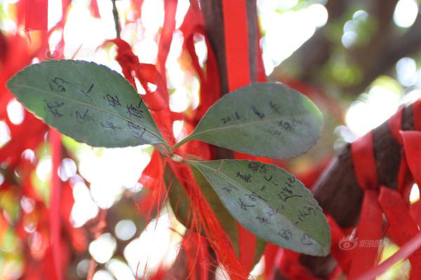 【明星爆料匯總(超清)】菜花在很多蔬菜中都有存在