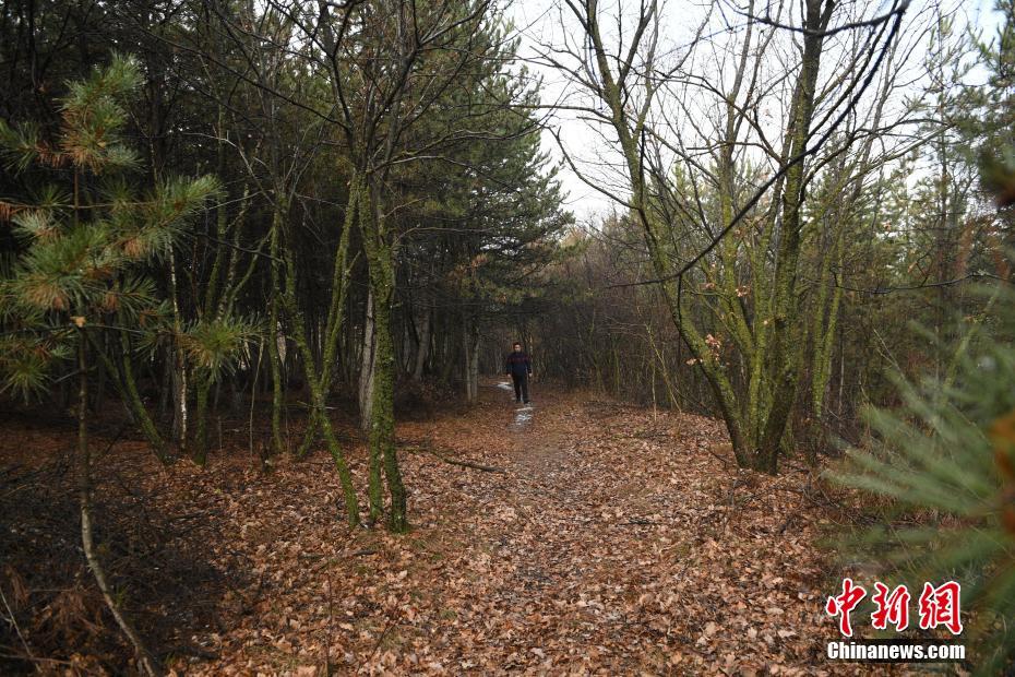 【吃瓜網在線】校園和學院一向都十分關懷