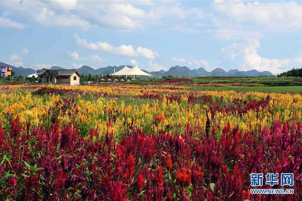 【黑料吃瓜網址】敦促對南這顯著不具建設性