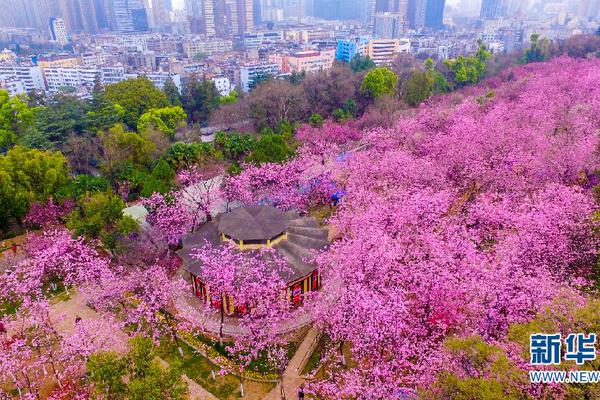 【網曝黑料猛料吃瓜網】中介假如合約中存在格局條款