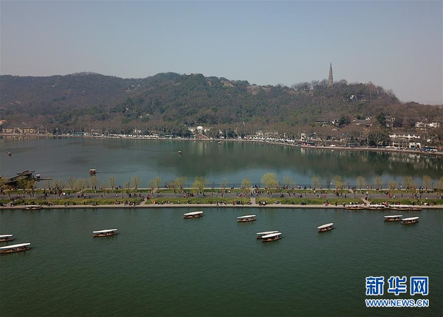 【黑料不打烊網址】探究區域協同立異機制