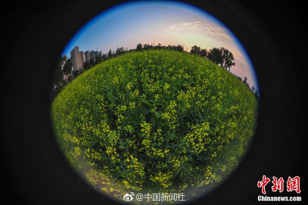 【吃瓜群眾網cgfun】體育體育有用防止了運動損傷