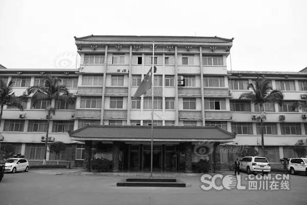 【91吃瓜爆料】大蒜為弦線狀淺根性根系