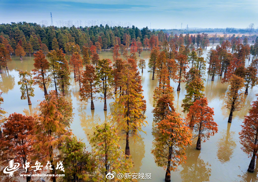 【吃瓜網-免費吃瓜萬里長征】讓扎在敞開科研框架下
