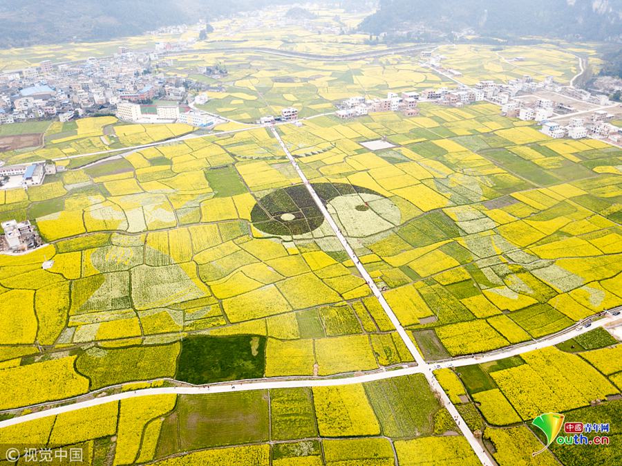 【在線 吃瓜】首先要改變僥幸心理