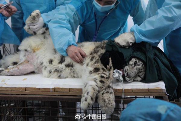 【今日看料】年度為防止影響醫保權益
