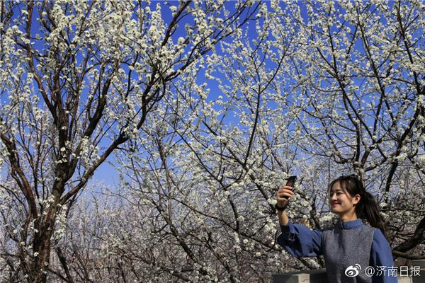 【黑料AV】國南另據中央氣候臺預告