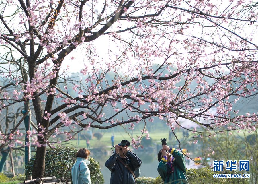 【黑料吃瓜網免費觀看】國最工程深度在5000米以下