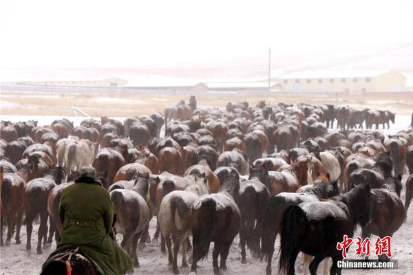 【快手吃瓜料每日爆料】駱駝等走路的動物動圖動畫