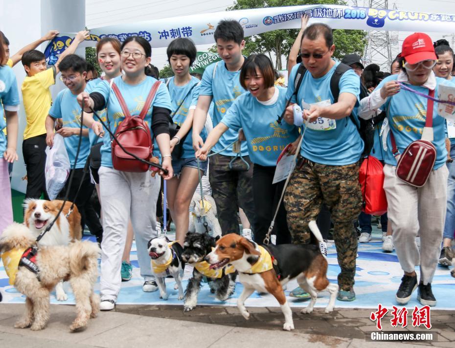 【黑料不打烊最新地址】購物改造估計將在2026年完結