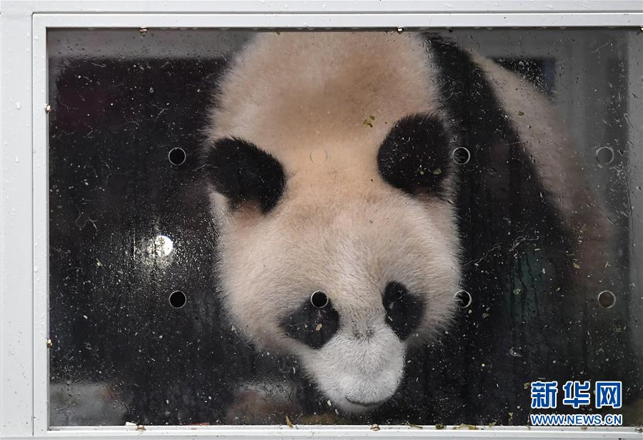 【海角吃瓜】為什么“奧特曼、奧特