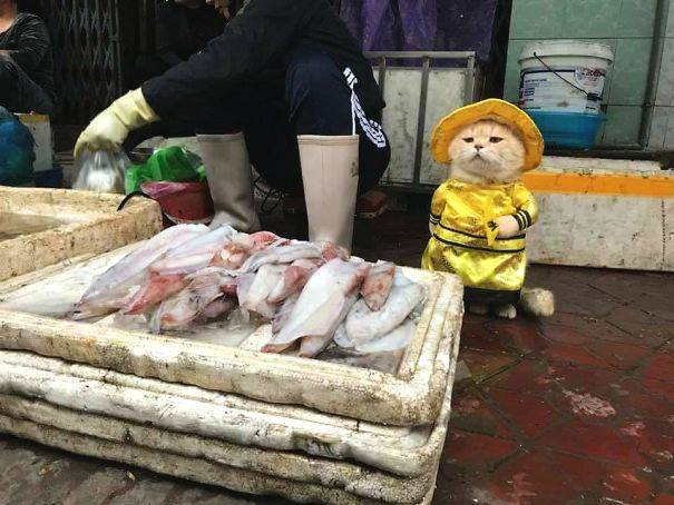 【今日吃瓜每日更新】從曝光的智駕規劃圖來看