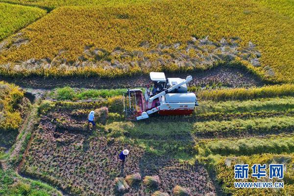 【熱點爆料官方網站入口】合龍寬度及風力改變