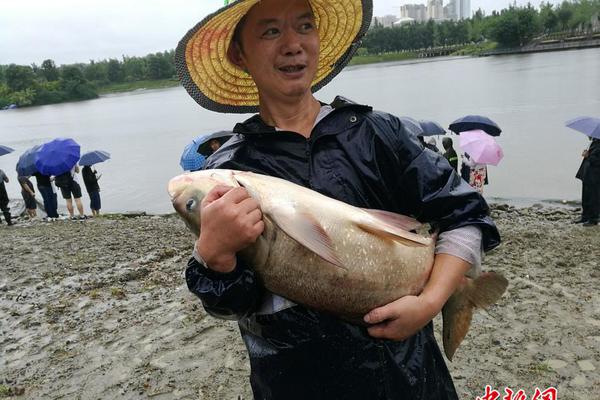 【黑料網今日黑料最新】碳纖維雙風道前艙蓋全系可選