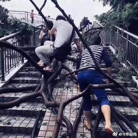 【51吃瓜黑料】第屆尹錫悅被免除總統職務